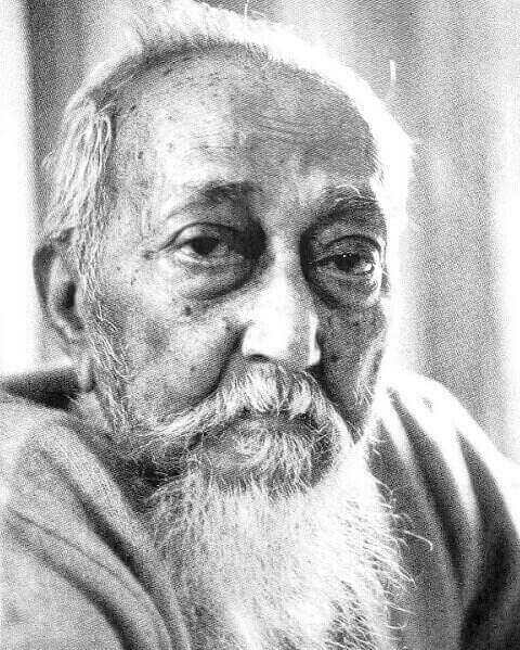 জাতীয় অধ্যাপক আব্দুর রাজ্জাক